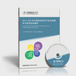 2016-2021年中國信息技術(shù)行業(yè)市場需求與投資咨詢報告 聚焦信息技術(shù)咨詢服務