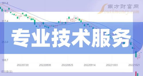 2025展望 解析“專業(yè)技術(shù)服務(wù)概念”及其與技術(shù)開發(fā)的核心關(guān)聯(lián)